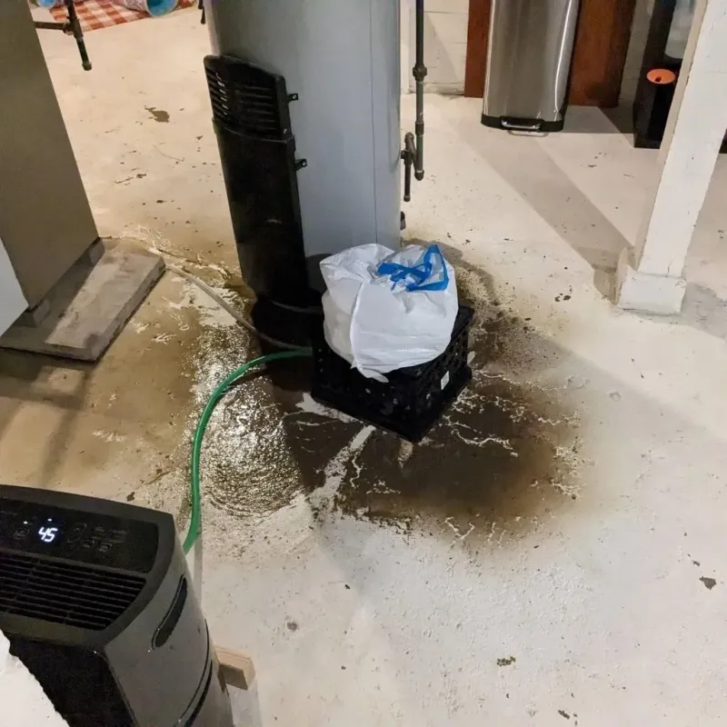Sewage Backup Cleanup Service in Runnemede, NJ